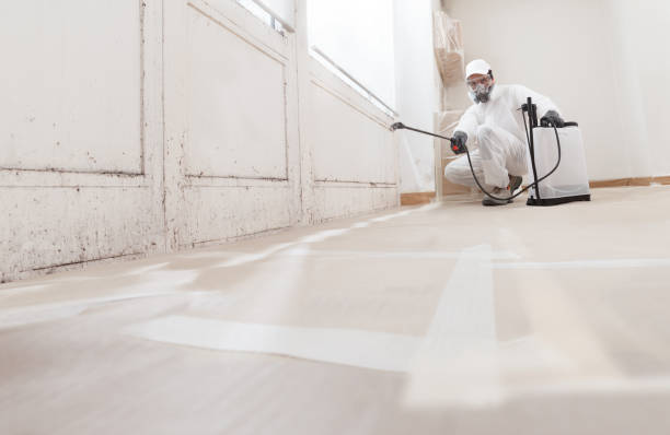 24/7 Emergency Crawl Space Mold Removal experts in Norcross, GA